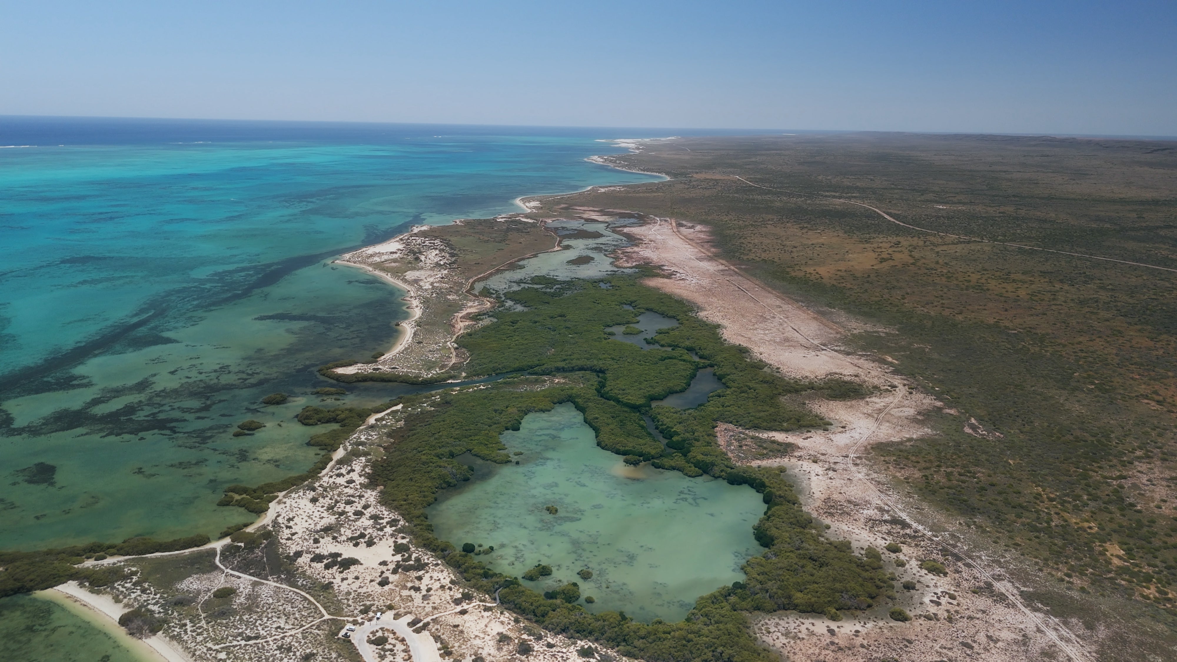 NOW YOU SEE ME, Ningaloo's Nursery—A SARAH & SEBASTIAN SHORT FILM